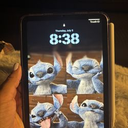 iPad Mini (a17)