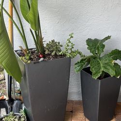 3 Pots
