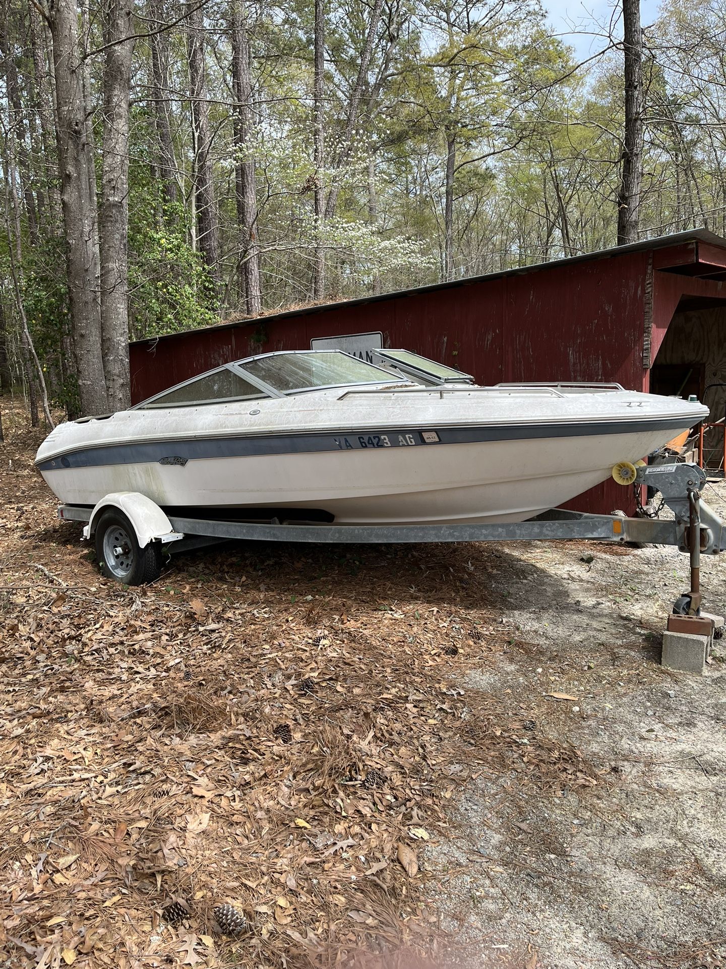 SeaRay  Boat and Motor with Trailer