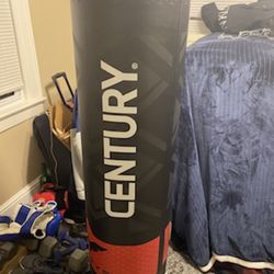 Century Punching Bag And Weights 