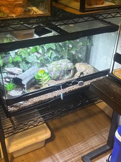 Reptile 20 gallon tank msg for details