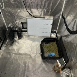 Grow Tent 