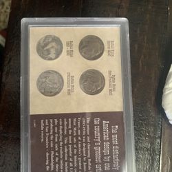 Old Buffalo Nickle Coins Collection