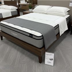 Liquidation Of Mattresses