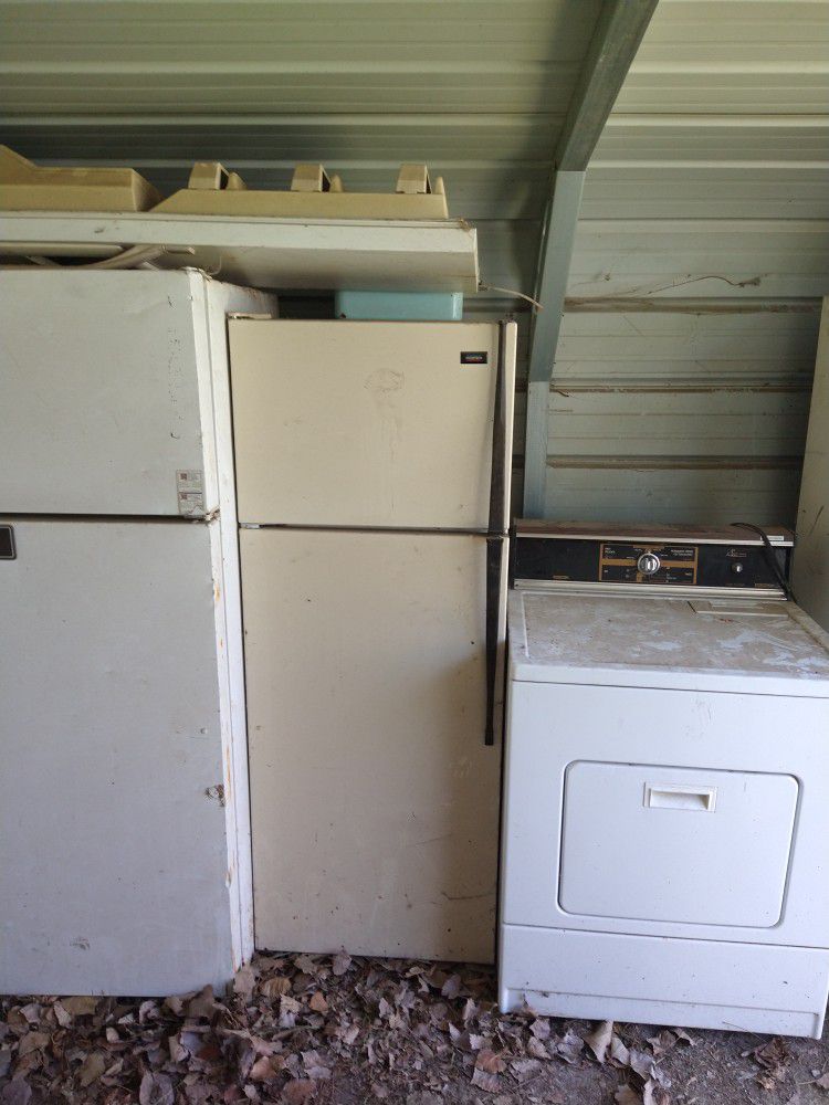 Small Refrigerator Needs Cleaned