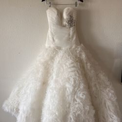 Mon Amie Bridal Salon Wedding Guest