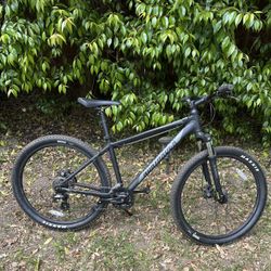 Mountain Bike