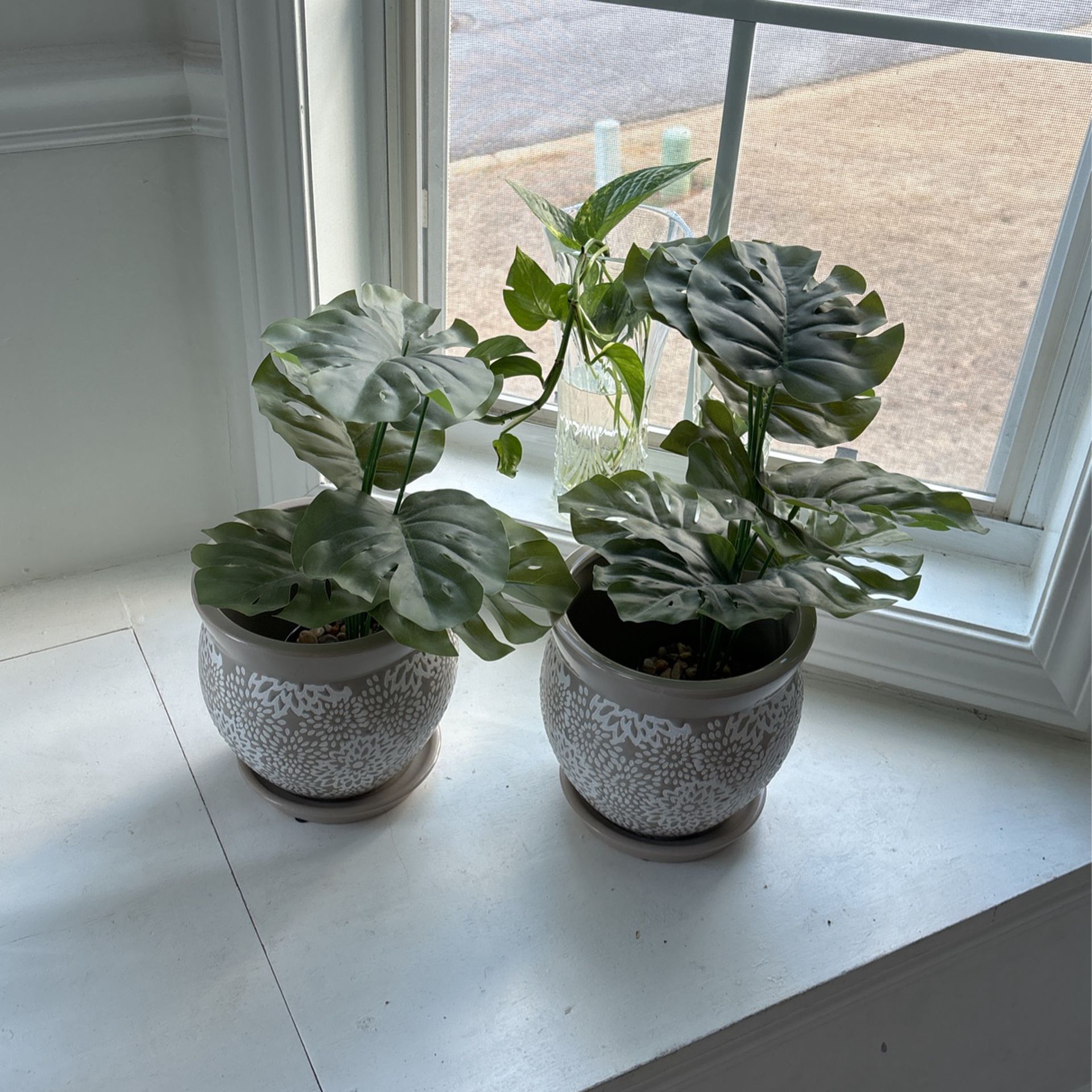 Plant Set 