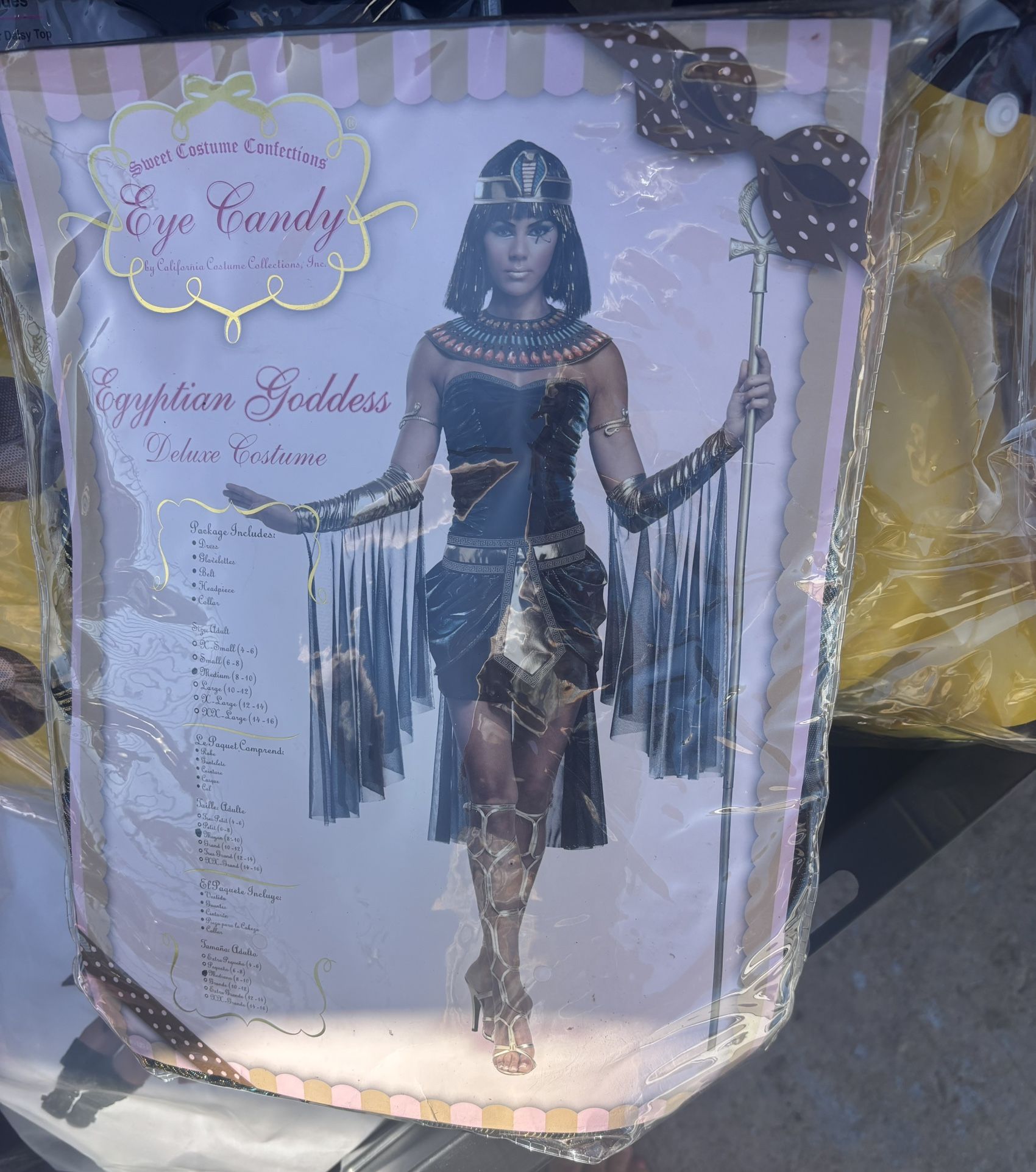 Halloween Costume 
