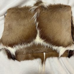 Clever Carriage Company Clutch