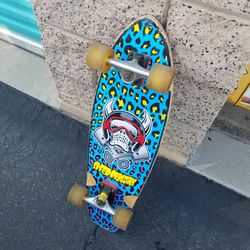 Cruiser Longboard skateboard