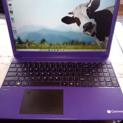 New Laptop Bought In March Used 2 Times