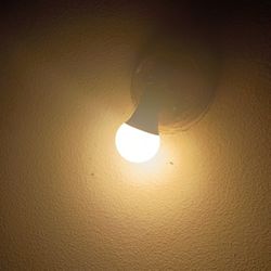Sun Unamajiginable Ect Ect Ect 