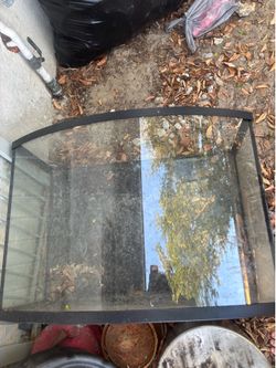36 gallon bow front