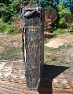 Norseland Tales by Hjalmar Hjorth Boyesen 1910 Scandinavian Norway Nordic Culture Vintage Antique