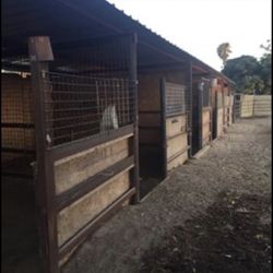 Corrales disponibles