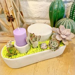 Real Succulent Planter With Candle 