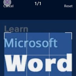 Microsoft word program Non-Negotiable price