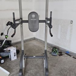 Gold Gym Xr 10.9 Pull Up Bar, Ab And Dips 