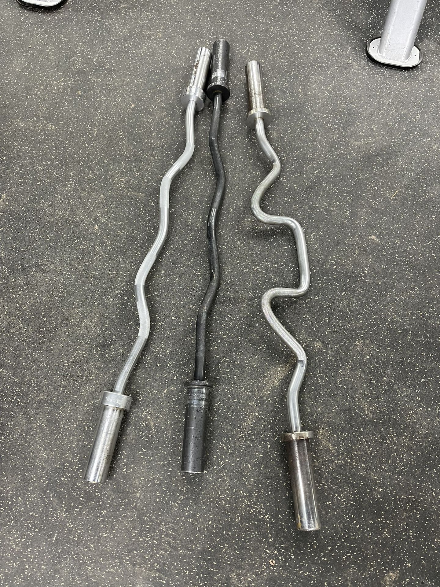 Olympic Curl Bars