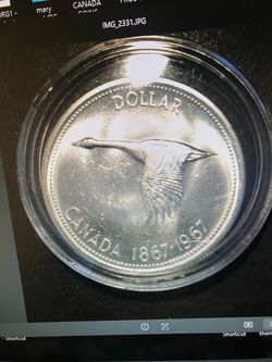 Canada silver Goose 1967