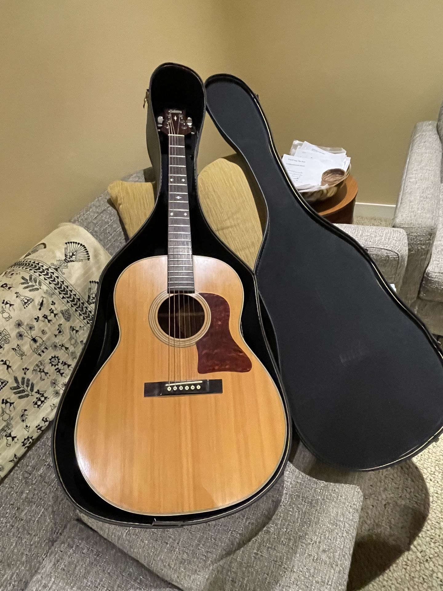 Acoustic Guitar Steel String Homer