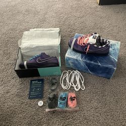 Nike SB Dunk Low “Purple Lobster” – Used – Special Box Included