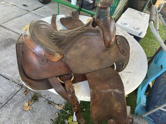 Horse Saddle