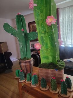 Cactus for decor