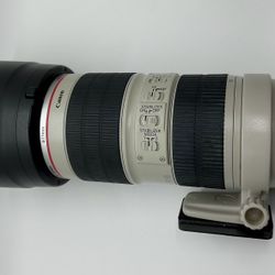 Canon lenses: 70-200mm f2.8 L & 24-105mm f4 L