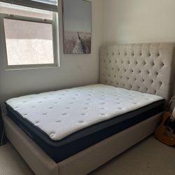 Full Sized Bed Frame/Mattress