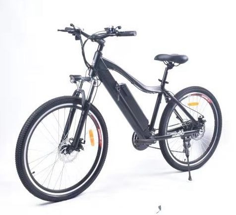 Electric Bicycle