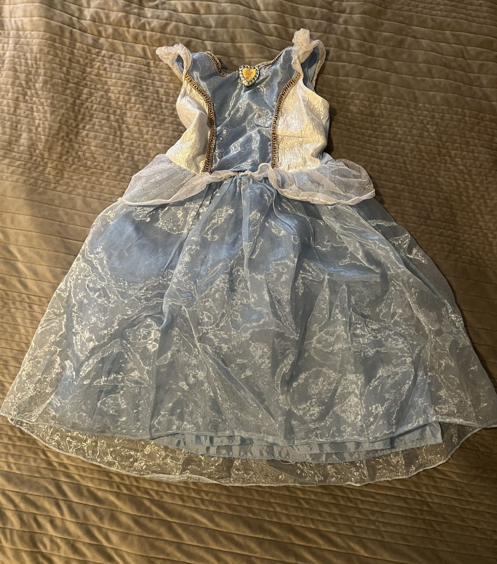 Cinderella Dress