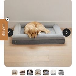 Barney Dog Bed- Size L 