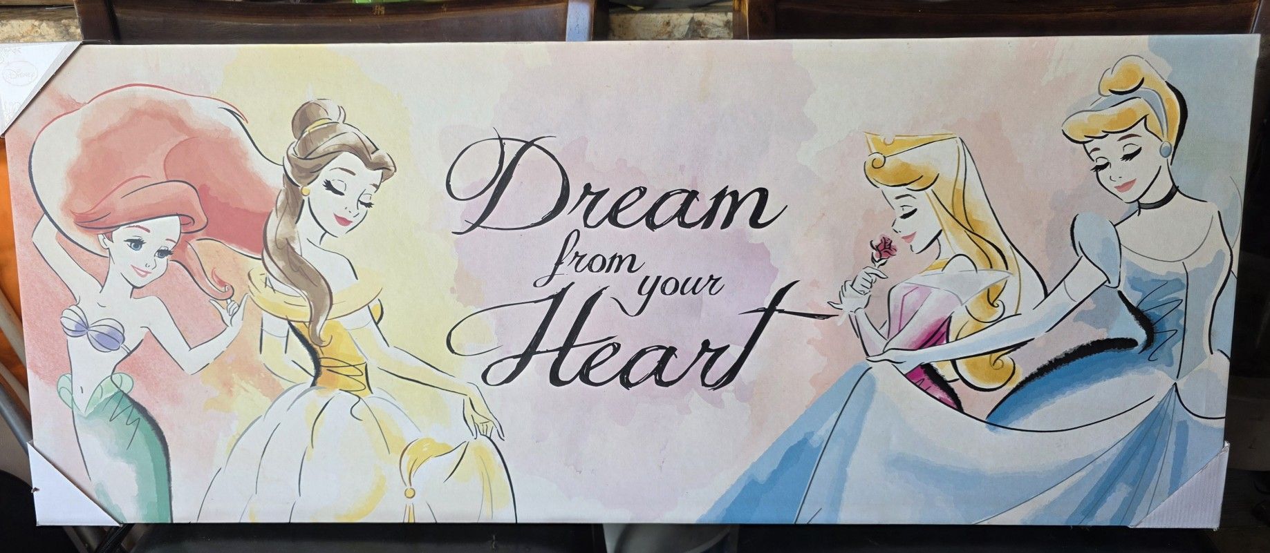 Disney Princess Canva