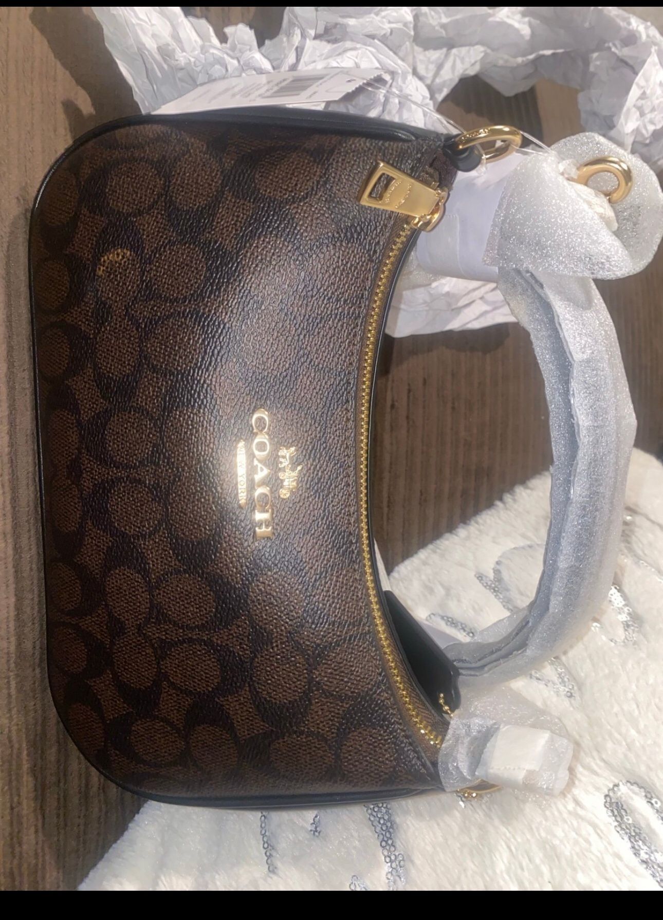 Teri Crossbody Coach Bag