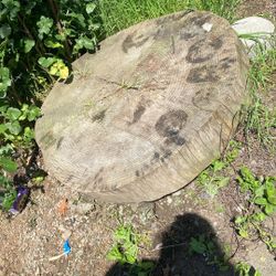 Log Slice For Ur Yard Decor Free