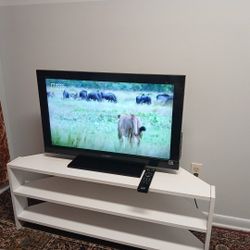 Sony  BRAVIA 32 In & TV Stand 