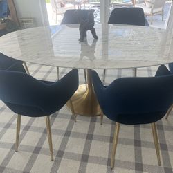 6 Blue Velveteen Dining Chairs 