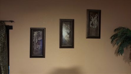 Animal framed pictures