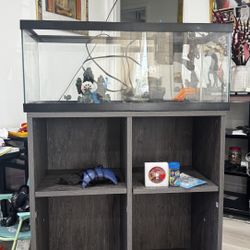 20 Gallon Long Fish Tank aquarium 
