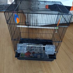 bird cage