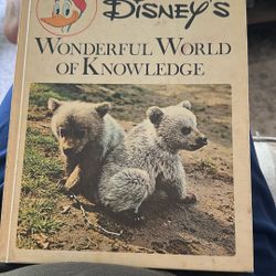 Disney’s Wonderful World Of Knowledge Book #1 