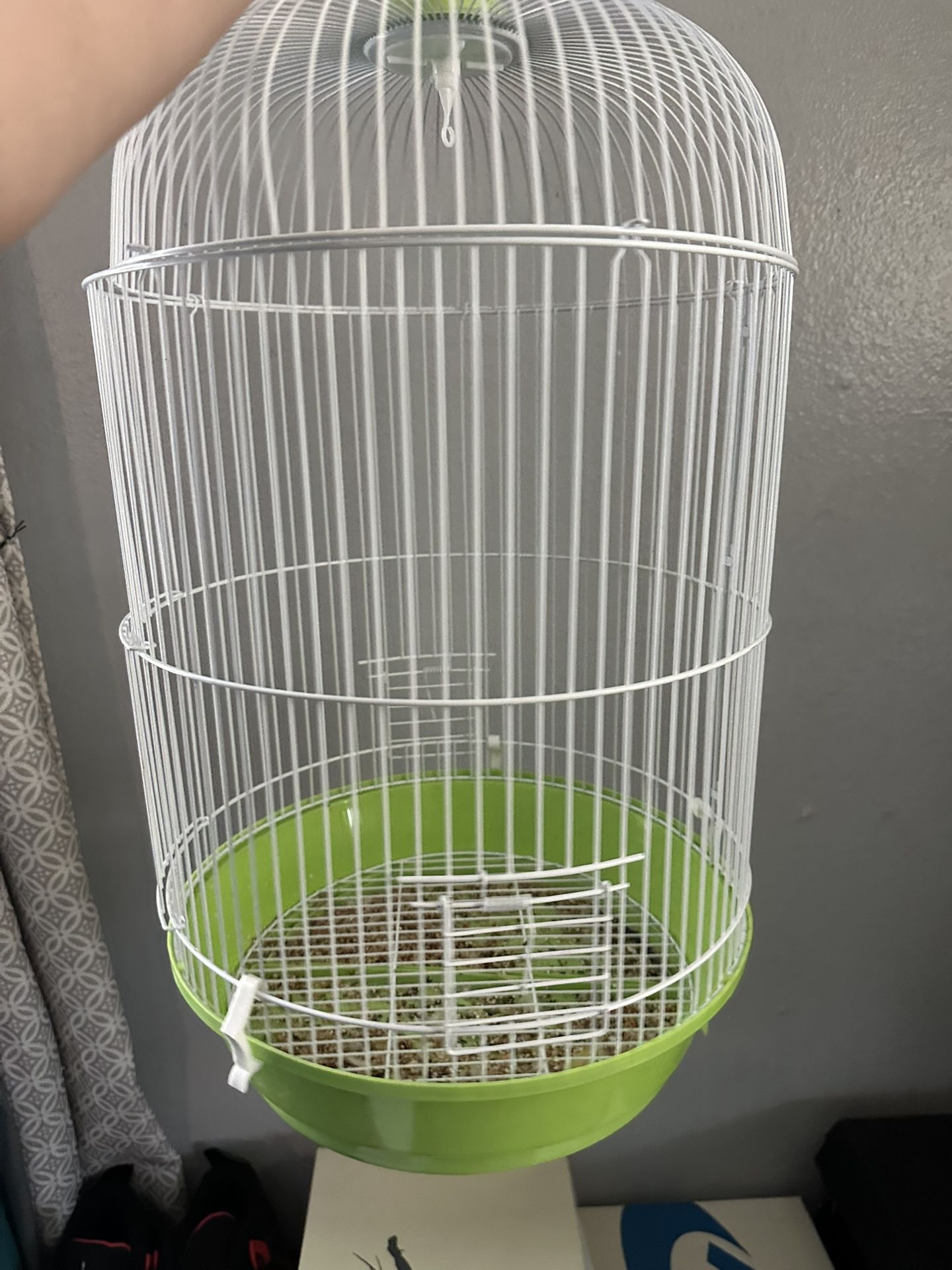 Bird Cage