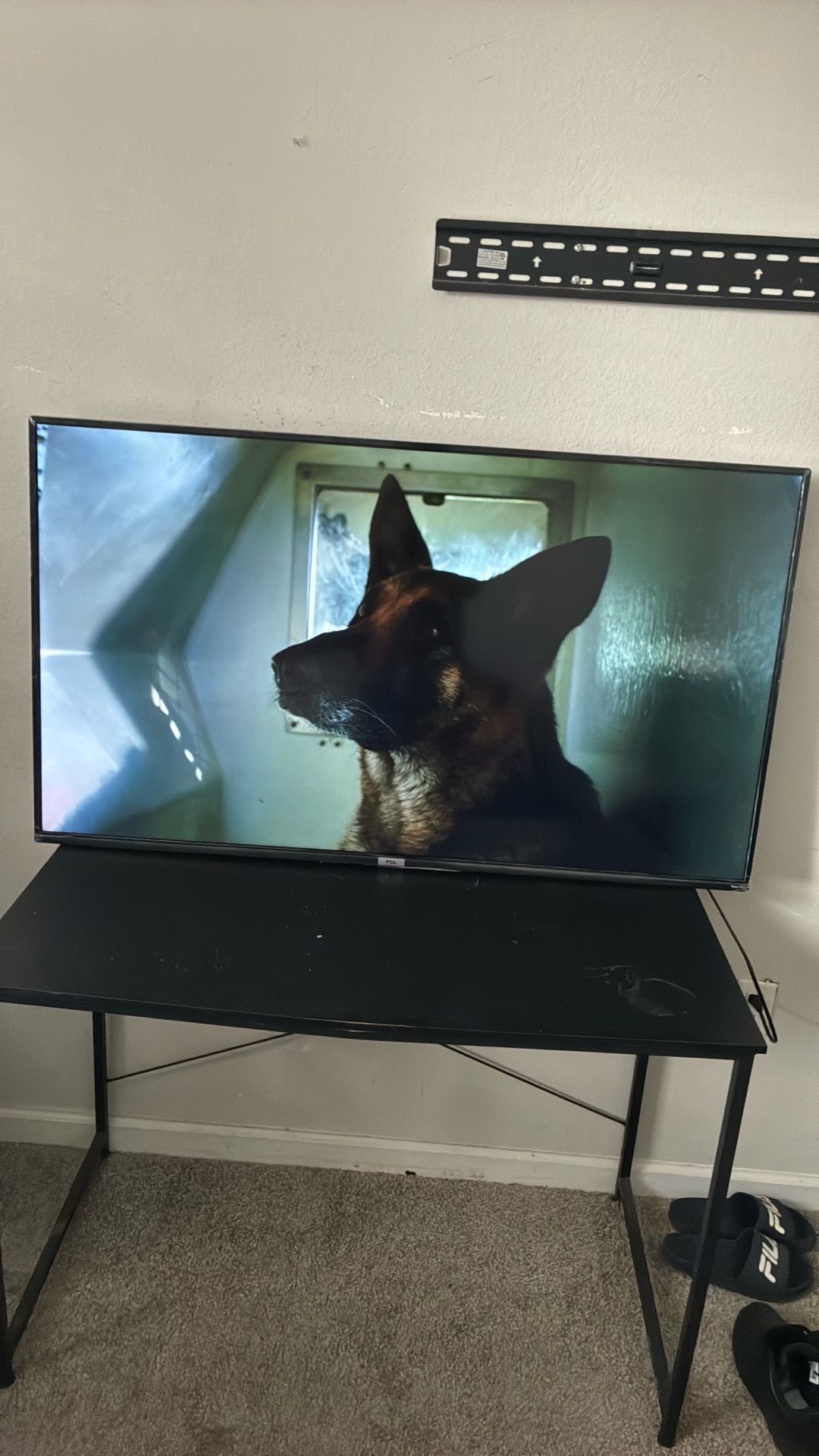 55inch Roku tv great condition comes with mount to put on your wall