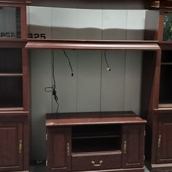 Entertainment Center/ Wall Unit 