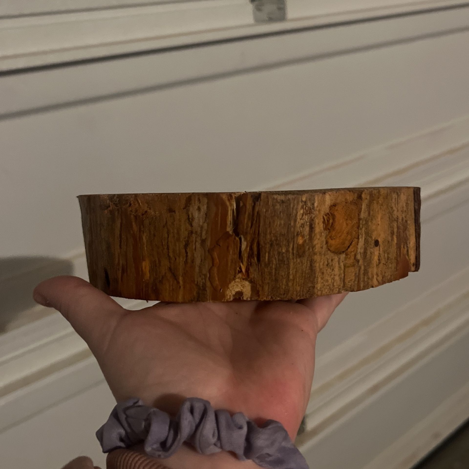 15 Log Slices