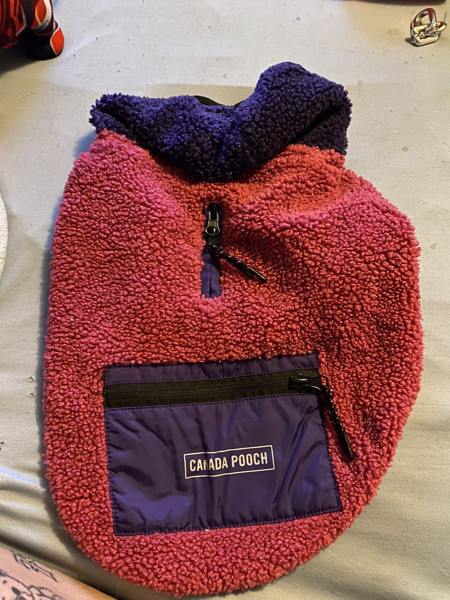 Dog Coat