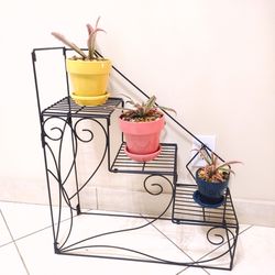 Decorative 3-Tier Folding Plant Stand +  Succulents + Colorful Planters
