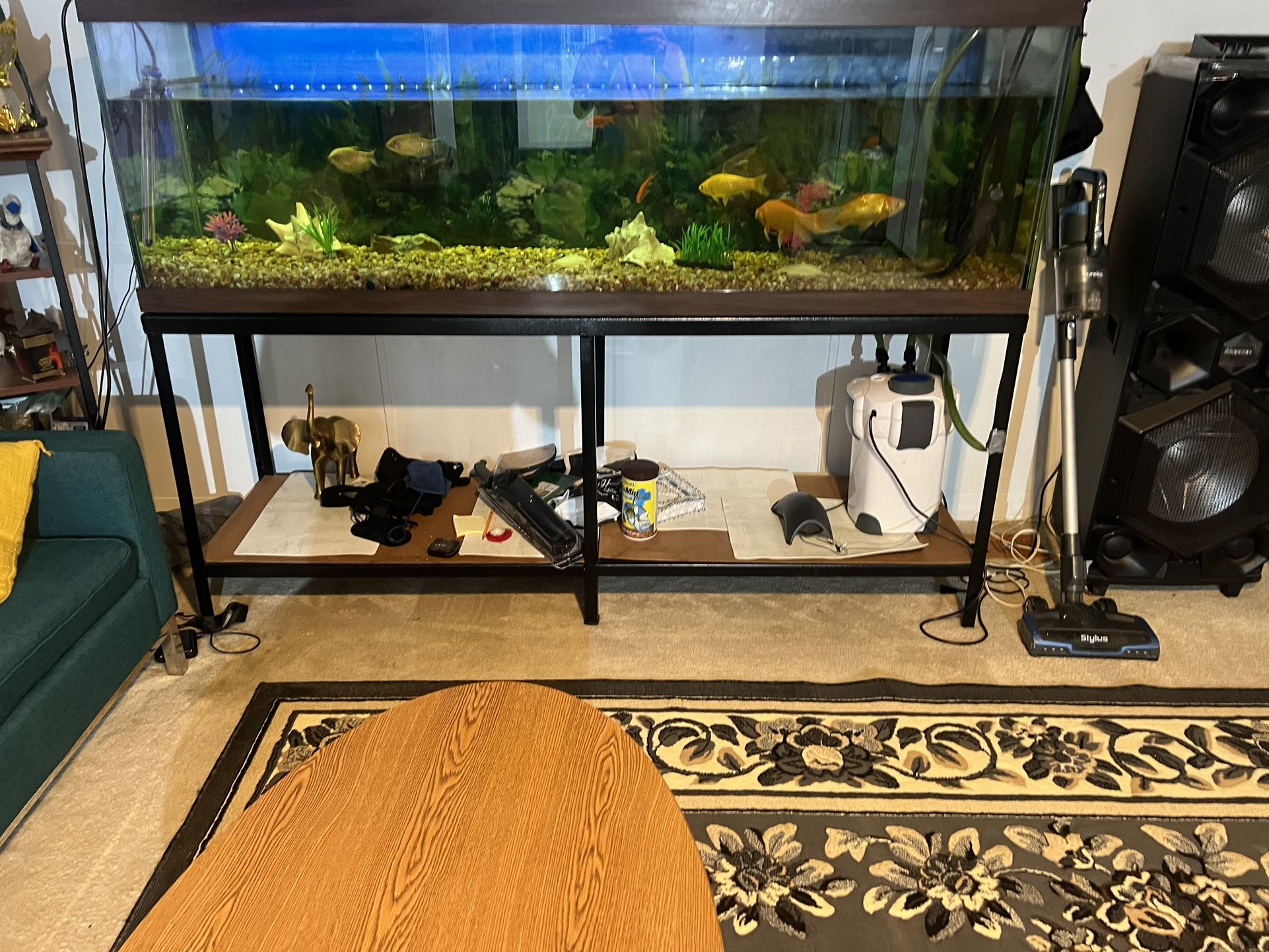 Fishing Tank, Including Fish For Sale